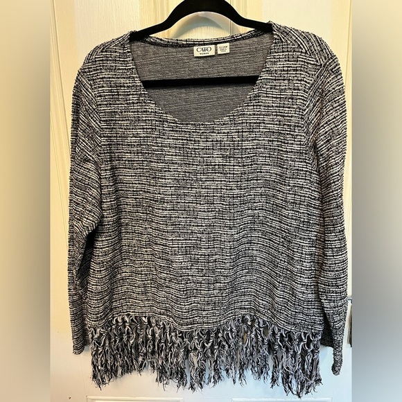 Cato Long Sleeve Scoop Neck Fringe Sweater Size 22/24 - Picture 1 of 9
